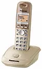 KX-TG2511 Dect/Coffee