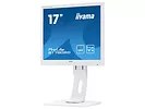 Monitor 17