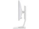 Monitor 17