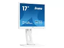 Monitor 17