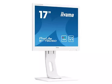 Monitor 17
