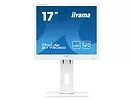 Monitor 17