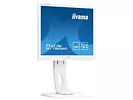 Monitor 17