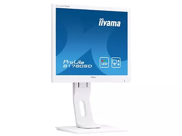 Monitor 17