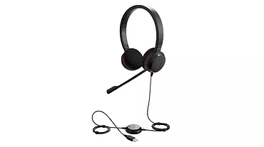 Evolve 20 Duo, MS