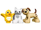 LEGO Duplo Zwierzątka domowe 10838