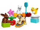 LEGO Duplo Zwierzątka domowe 10838