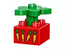 LEGO Duplo Zwierzątka domowe 10838