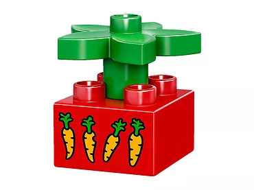LEGO Duplo Zwierzątka domowe 10838