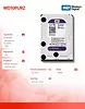 Purple WD10PURZ 1TB 3,5'' 64MB  SATAIII