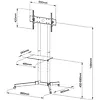 Asus Stojak mobilny LCD/LED 30-65cali,60kg, regulowany