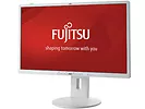 Monitor 22