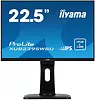 Monitor 22,5