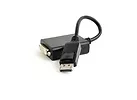 Gembird Adapter DisplayPort v1.2/DualLinkDVI/czarny