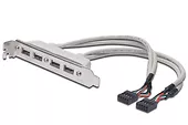 ASSMANN Kabel na śledziu USB 2.0 HighSpeed Typ 2xIDC (5pin)/4xUSB A M/Ż szary 0,25m