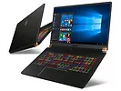 Laptop MSI GS75 Stealth 10SFS-019PL i9-10980HK/17,3