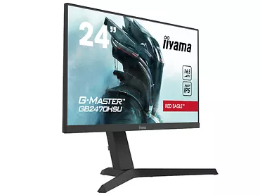 Monitor iiyama G-Master 24