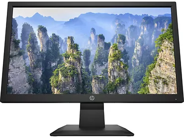 Monitor 19,5