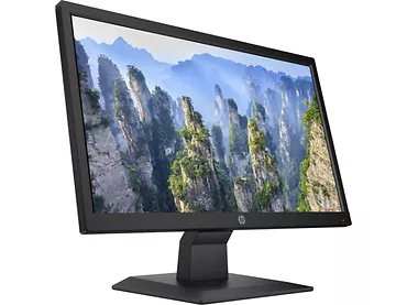 Monitor 19,5