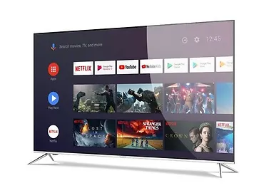 Telewizor LED 65 cali QLED65PLAY6100-U