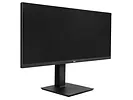 Monitor 29
