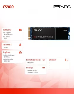 PNY Dysk SSD 250GB M.2 CS900 M280CS900-250-RB