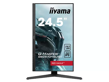 Monitor iiyama G-MASTER 24,5