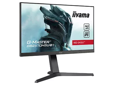 Monitor iiyama G-MASTER 24,5