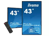 Monitor wielkoformatowy iiyama ProLite LH4370UHB-B1 43'' 4K/VA/Android