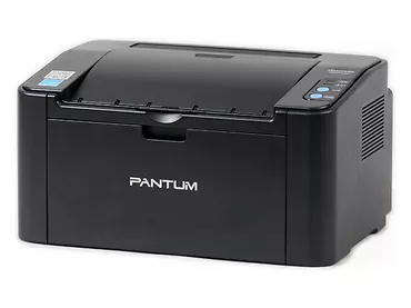 Drukarka Pantum P2500 USB typ B/128 MB/PA210 PA210S
