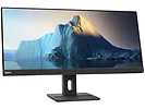 Monitor 29