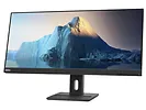 Monitor 29