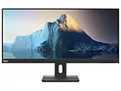 Monitor 29