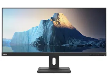 Monitor 29