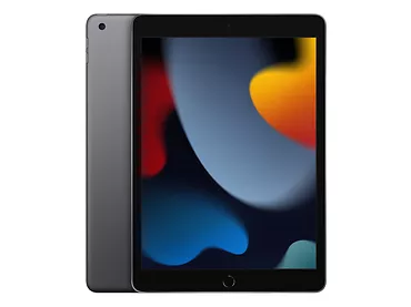 Tablet Apple iPad 10.2-inch Wi-Fi + Cellular 64GB - Gwiezdna szarść