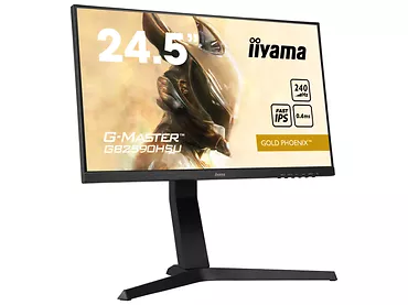 Monitor iiyama G-MASTER 24,5