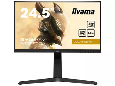 Monitor iiyama G-MASTER 24,5