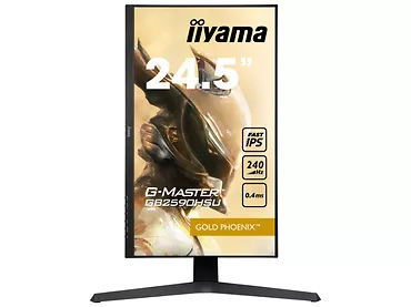 Monitor iiyama G-MASTER 24,5