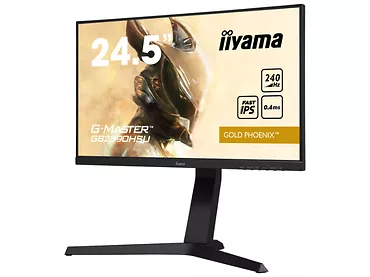 Monitor iiyama G-MASTER 24,5