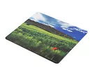NATEC Podkładka pod mysz Foto Włochy 220x180mm 10-Pack
