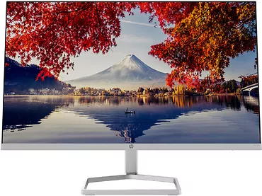 Monitor 23,8