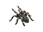 Figurka Red Kneed Tarantula Animal Planet