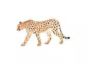Figurka Cheetah Male Animal Planet