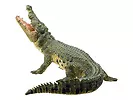 Figurka Crocodile with Articulated Jaw Animal Planet