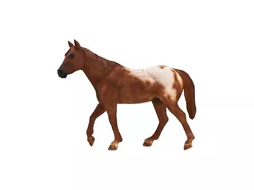 Figurka Appaloosa Stallion Chestnut Animal Planet