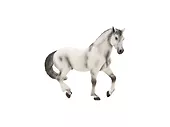 Figurka Andalusian Stallion Grey Animal Planet