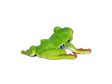 Figurka Red Eyed Tree Frog Animal Planet