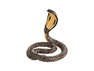 Figurka King Cobra Animal Planet