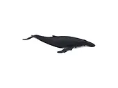 Figurka Humpback Whale Animal Planet