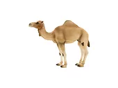 Figurka Arabian Camell Animal Planet